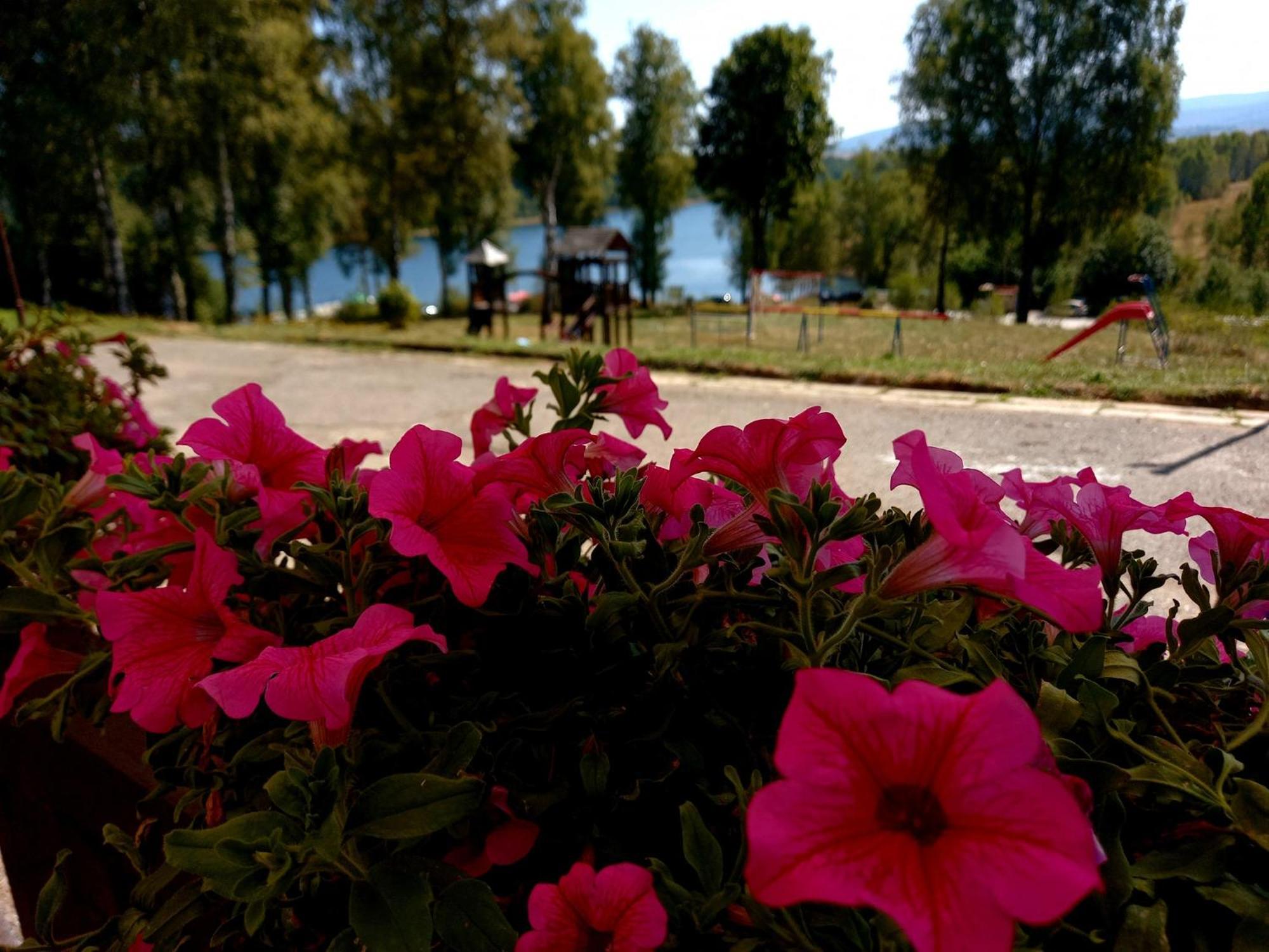 Hotel Vlasina - Vlasinsko Jezero Vlasina Rid Extérieur photo