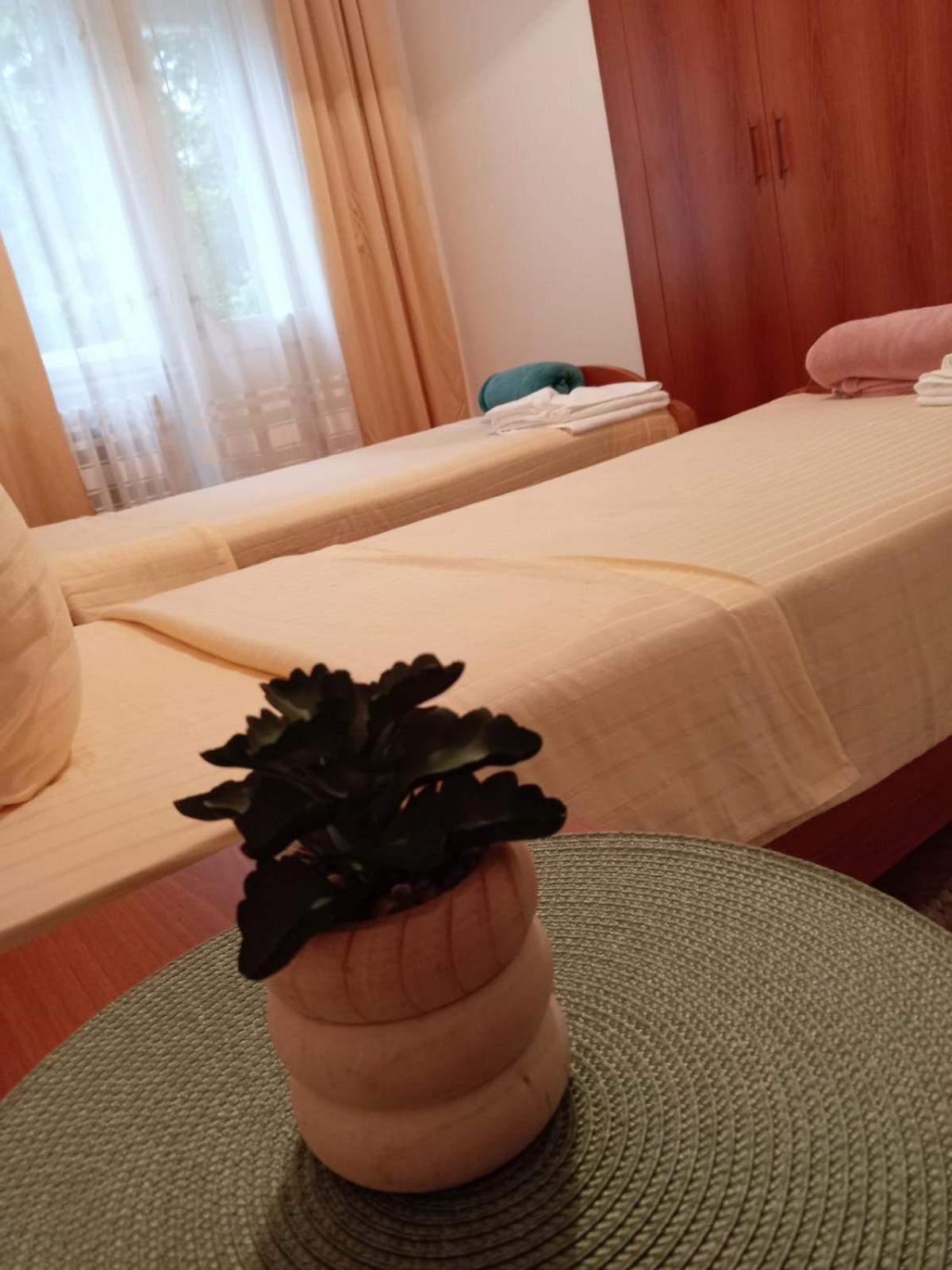 Hotel Vlasina - Vlasinsko Jezero Vlasina Rid Extérieur photo