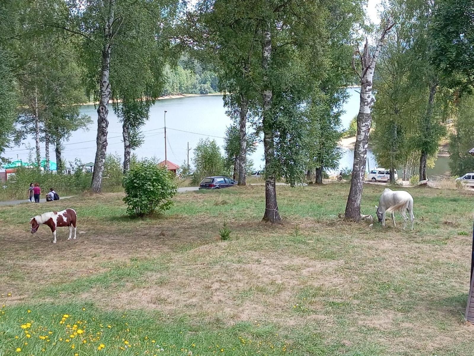 Hotel Vlasina - Vlasinsko Jezero Vlasina Rid Extérieur photo