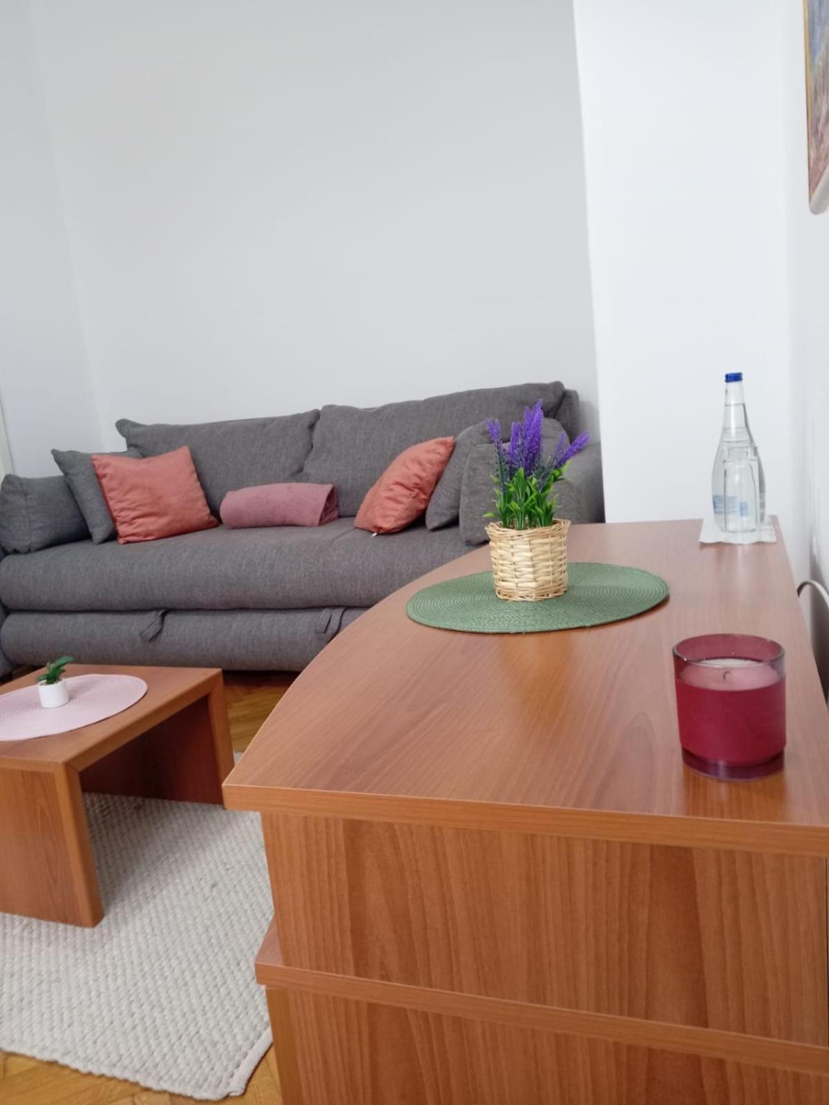 Hotel Vlasina - Vlasinsko Jezero Vlasina Rid Extérieur photo